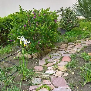 Tulipano , Alghero Italia
